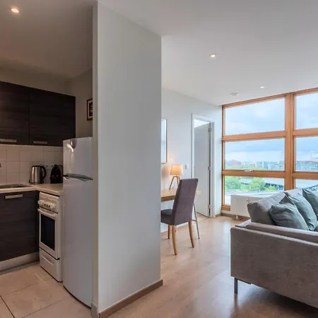 One Bedroom At The Foot Of The Stations Lille